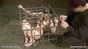 Bound Babe with Big Ass and Tits in Bdsm Device Bondage