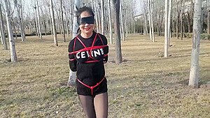 Tied Outdoors – Hd Bdsm Shibari Bondage Video